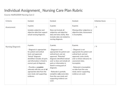 Solution Preview Rubric Individual Assignment Nursing Care Plan Rubric