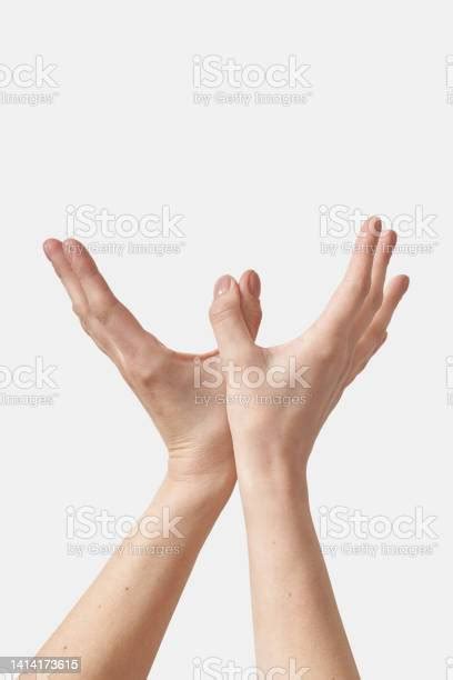 Outer Hand Bird Gesture Isolated On White Stock Photo Download Image