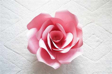 Giant Paper Rose Template And Tutorial Domestic Heights