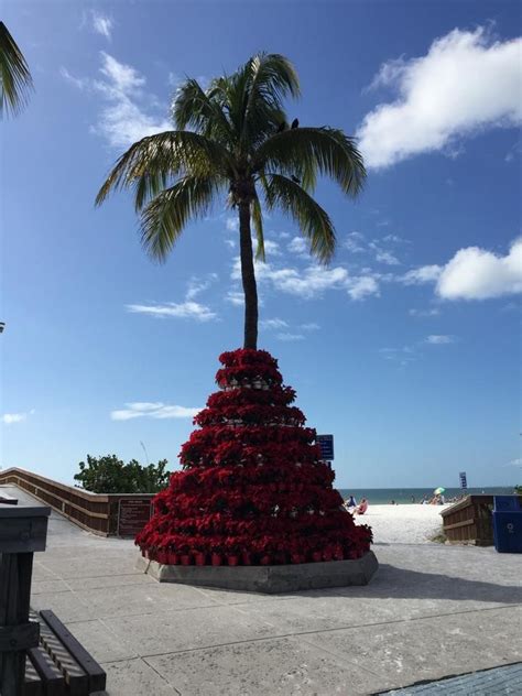 Christmas In Times Square Fort Myers Beach Lee County Florida ~d~4