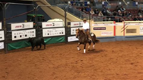 Slinky Working Cow Horse 2018 Aqha World Show Finals Youtube