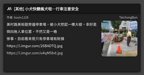 其他 小犬快變瘋犬啦行車注意安全 看板 Taichungbun Mo Ptt 鄉公所