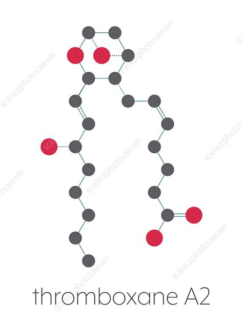 Thromboxane A2 Molecule Illustration Stock Image F0300401