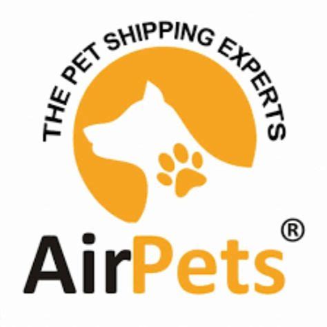 Striving to ensure safe, happy and comfortable travel for our little paw buddies across the globe. Pin on Pet Moving Services in Bangalore
