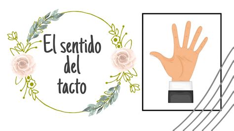 》el Sentido Del Tacto 🖐🏻《 Youtube