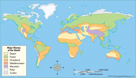 Major Biomes Of The World Map Zip Code Map