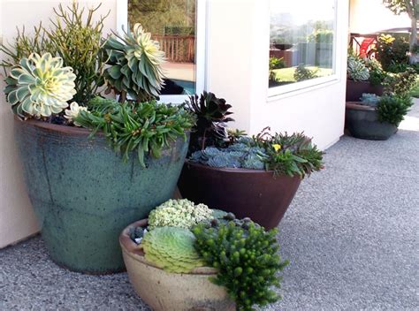 Container Garden Tips Landscaping Network