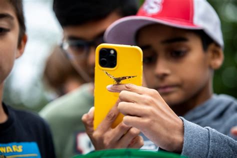 Surrey Elementary School Students Raise Butterflies To Learn About The