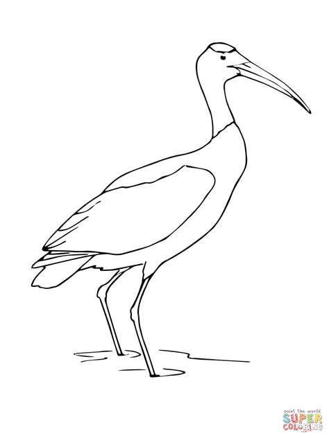 Stork Coloring Pages Kidsuki