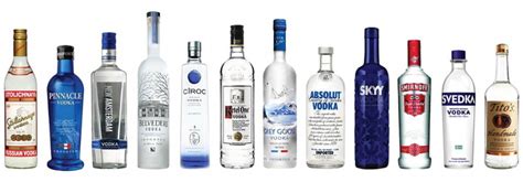 Estas Son Las Mejores Marcas De Vodka Del Mundo Mega Off
