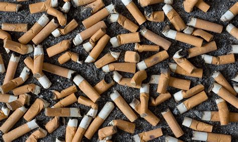 a step by step plan for recycling cigarette butts into bricks rmit university