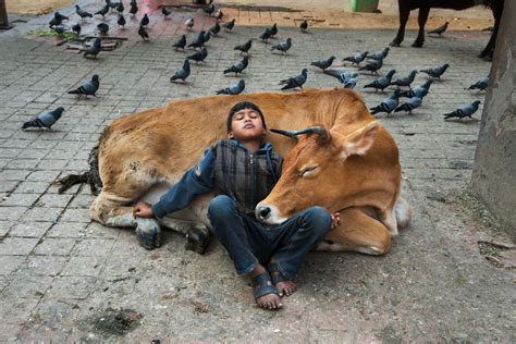 30 Photographs That Explore The Relationship Between Animals And Humans