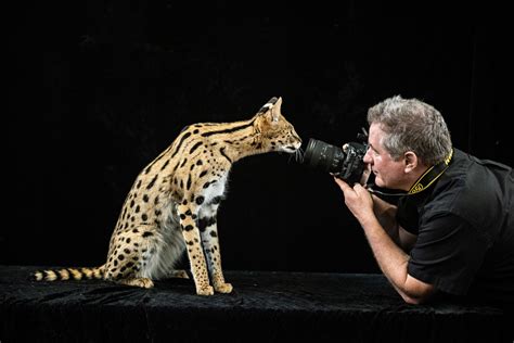 Top 10 Best Professional Wildlife Photographers Nsnbc