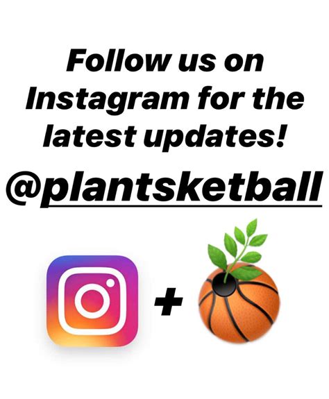 Plantsketball Toronto Raptors Nba Spalding Basketball Etsy