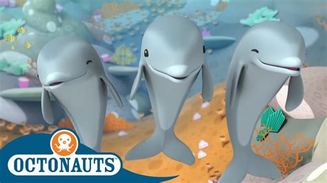 Stayhome Octonauts Dolphins Or Sharks Full Episodes Cartoons
