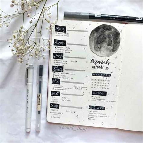Bullet Journal March Weekly Layout With Moon Illustration Cool
