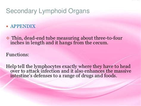 Primary and Secondary Lymphoid Organs