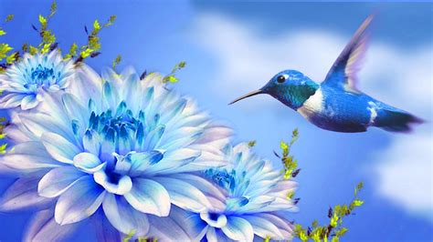 Hummingbird Wallpaperbirdbluehummingbirdnatureplantbeakflower
