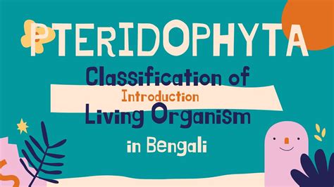 Pteridophyta Classification Of Living Organism In Bengali Youtube
