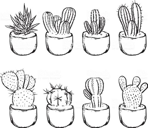 Cactus Drawings Welcome To The Klein Art Page