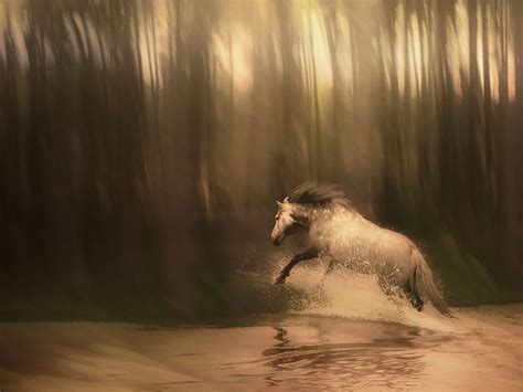 Beautiful Photographs Of Movement In Water Horses