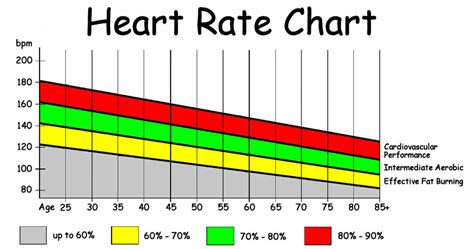 Exercise Chart Workout Chart Chart Heart Rate Chart