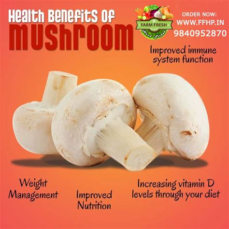 Health Benefits Of Mushroom Health Benefits Of Mushrooms Fruit