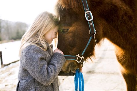 Best 15 Horseback Riding Camps In The Usa For Children Hrn