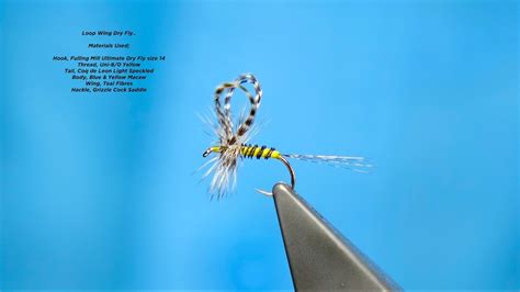 Tying Andre Puyans Loop Wing Dry Fly With Davie Mcphail Youtube