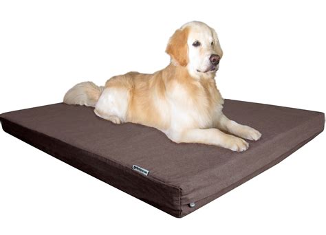 Large Foam Dog Bed Called An Orthopedic Dog Bed These Memory Foam
