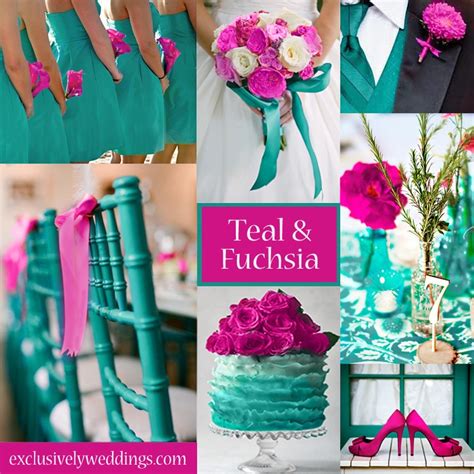Teal And Fuchsia I Love This Color Combo Taco Cats
