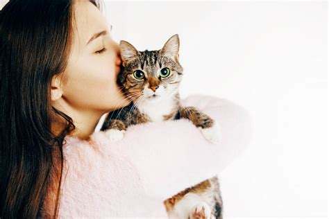 Kissing A Cat Should You Do It And Is It Safe Cat World