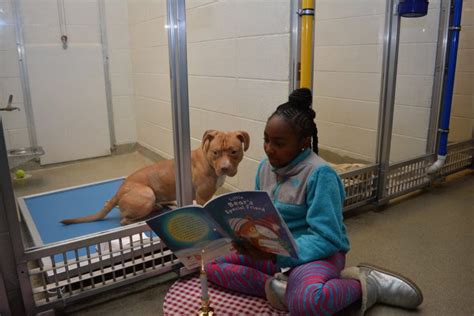 How Kids Are Helping Shelter Pets By Reading Them Stories I I