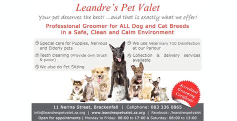 *clients outside the service area may incur additional fees. Leandre Pet Sitting Services | Pet Health Care