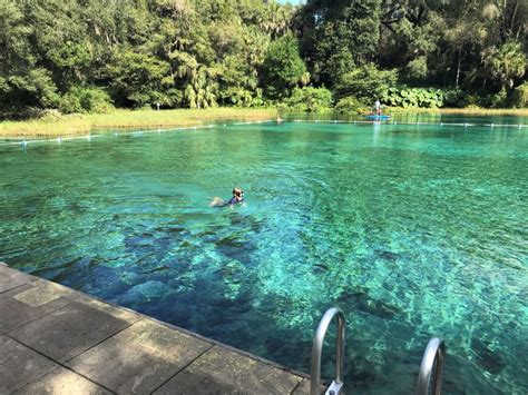 Rainbow Springs State Park Discover Breathtaking Crystal Clear Waters