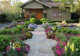 Photos of Best Plants To Landscape Your Yard