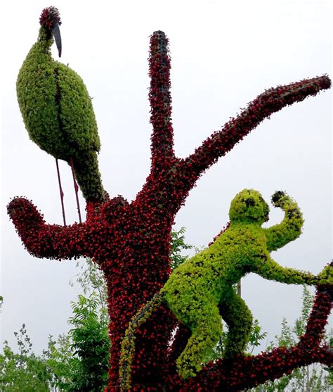 Check spelling or type a new query. Animals sculpted out of plants on display in China | Daily ...
