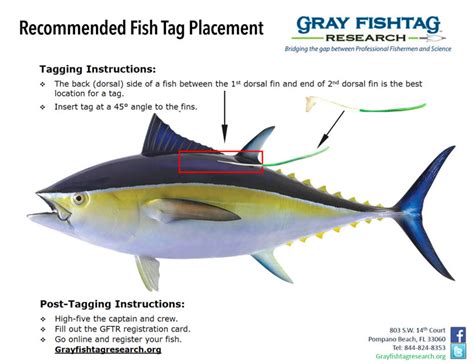 Science And Fishing How To Tag A Fish FECOP