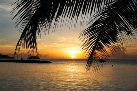 Sie suchen sehenswürdigkeiten und attraktionen in martinique? Martinique Sehenswürdigkeiten: Top 10 Ausflüge und Things ...
