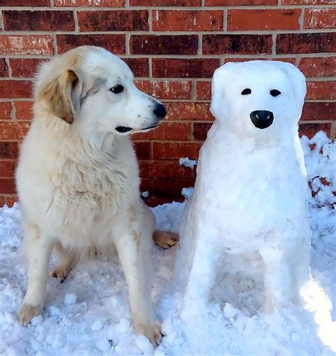 Truly Awesome Snow Sculptures Of Dogs Life With Dogs