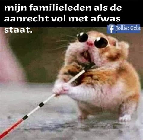 Pin By Jolanda On Grappige Plaatjes Sarcastic Quotes Funny Really