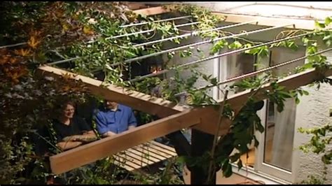 Wie sie einen kreativen sichtschutz selber bauen, zeigen die folgenden anleitungen. Sichtschutz im Garten mit Rankpflanzen | ToolTown Garten ...