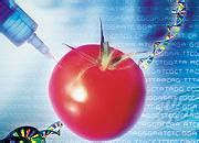 Website Cu Informatii Despre Riscurile Organismelor Modificate Genetic