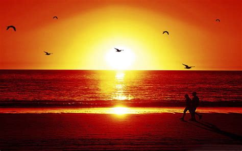 Sunset At Romantic Beach Wallpapers 2560x1600