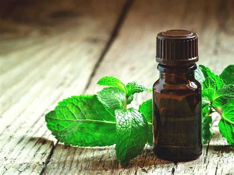 A few drops of common favorites such as peppermint, rosemary, and lavender can slowly ease off the symptoms of a migraine, especially when applied topically. Peppermint Oil for Migraines: Does It Work?