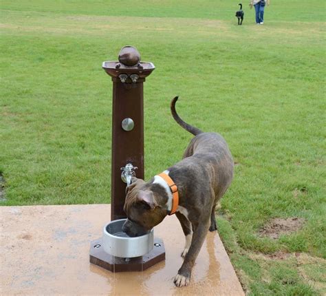 Dog Park Drinking Fountains Dog Park Dog Playground Dog Park Design