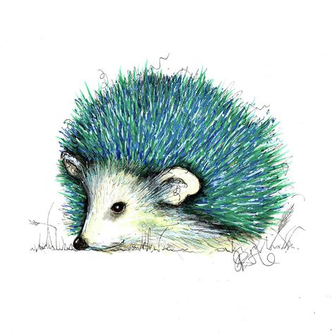 Blue Hedgehog Drawing By Sally Huntington Pixels