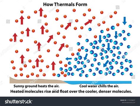 How Thermals Form Science Diagram Showing How Molecules React During