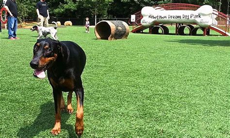 Chubby puppies ultimate dog park *no puppies included * condition is used. Here Are The Absolute Ultimate 16 Dog Parks In The U.S ...