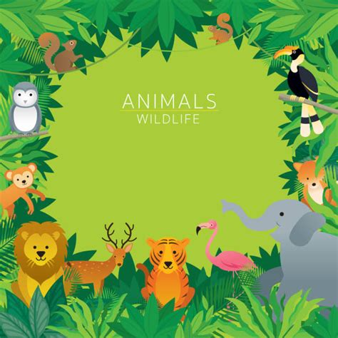 Zoos Backgrounds Illustrations Royalty Free Vector Graphics And Clip Art